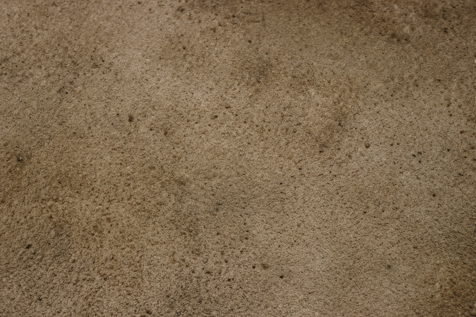 Moquette sale avant nettoyage